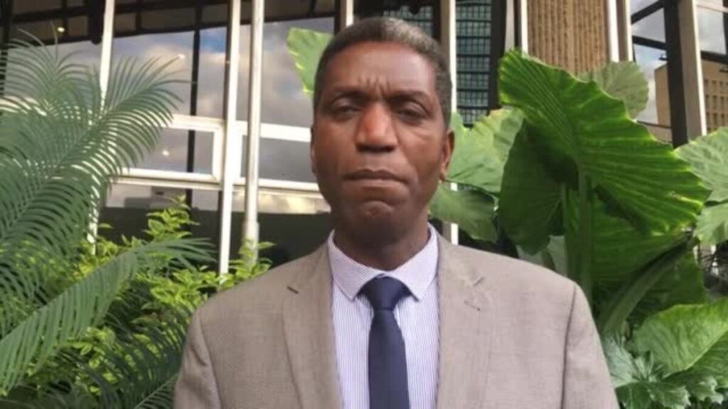 What sort of Council do you want: CZI, ZNCC must sit in Harare City Council meetings, says Rejoice Ngwenya
