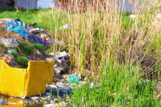 Harare Rivers Choking on Pollution as Sewage Plant Lies Defunct