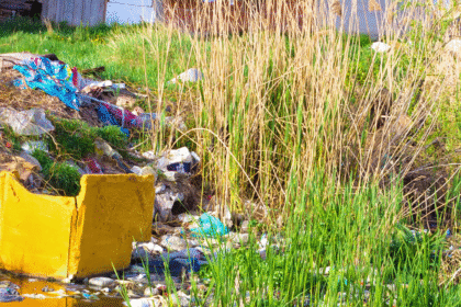 Harare Rivers Choking on Pollution as Sewage Plant Lies Defunct