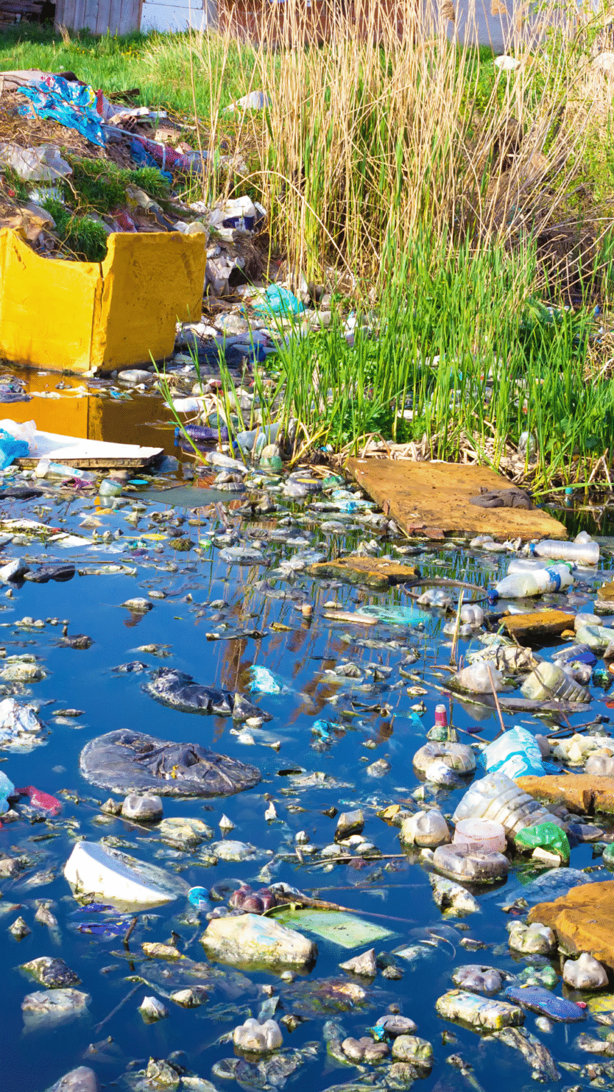 Harare Rivers Choking on Pollution as Sewage Plant Lies Defunct